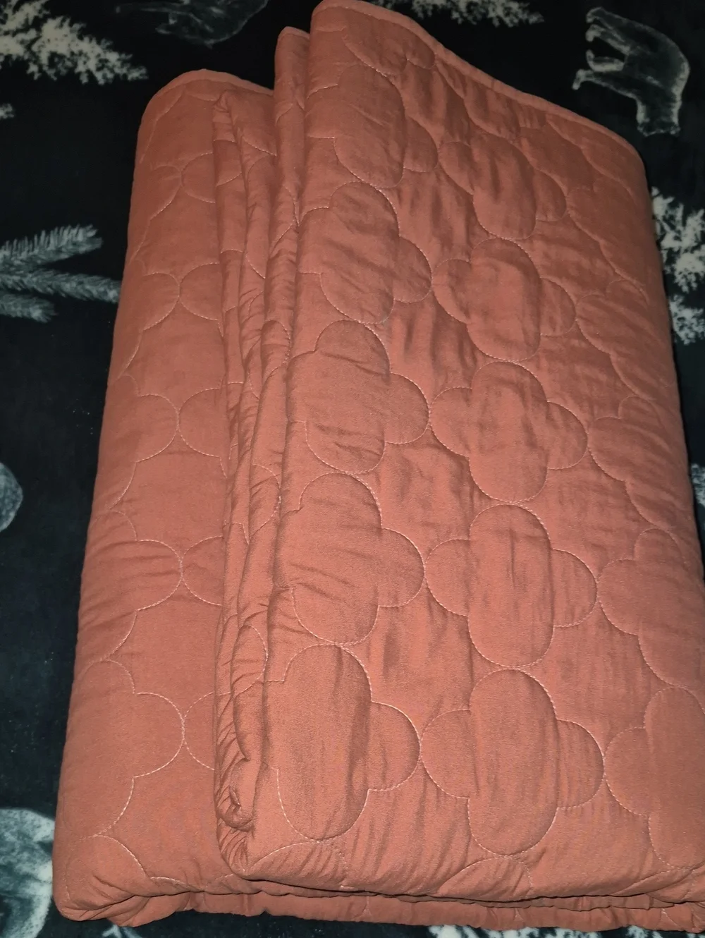Full/queen Reversible Quilted  Set